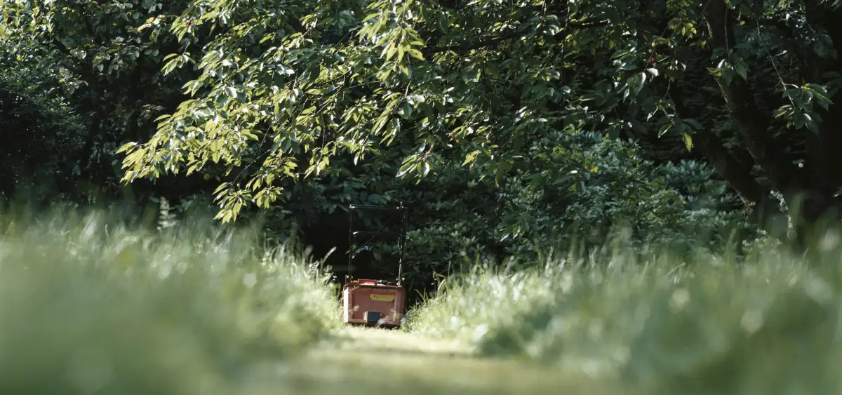 Professional landscape lighting highlighting Oakland County home